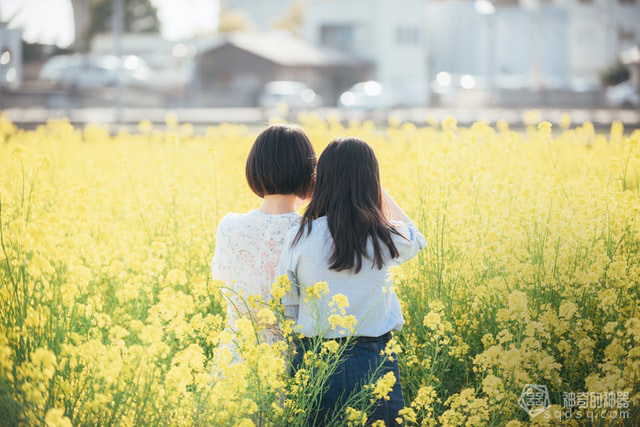 更年期失眠